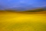 'Blue On Yellow' by Alastair Cochrane FRPS DPAGB EFIAP