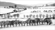 'Winterscape' by Alastair Cochrane FRPS DPAGB EFIAP
