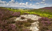 'Cheviot And Hedgehope From Cartington' by Andrew Mackie