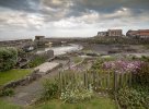 'Craster' by Andrew Mackie