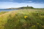 'Dunstanburgh' by Andrew Mackie