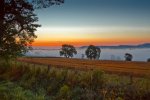 'Early Morning From The Follions' by Andrew Mackie