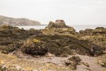 'Eyemouth' by Andrew Mackie