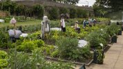 'Happy Gardeners' by Andrew Mackie