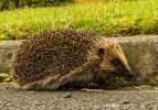 'Road Level' by Andrew Mackie