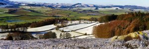 'Rothbury Carriage Drive To Caistron' by Andrew Mackie