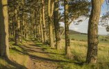 'St Cuthbert's Cave' by Andrew Mackie