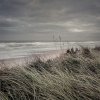 'Forget About The World' by Anthony Wright ARPS DPAGB BPE3*
