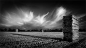 'Haystacks' by Anthony Wright ARPS DPAGB BPE3*