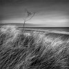 'Last Dance' by Anthony Wright ARPS DPAGB BPE3*