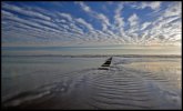 'Druridge Bay (2)' by Barry Robertson LRPS