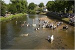 'The River Scene' by Barry Robertson LRPS