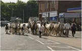 'The Street Scene' by Barry Robertson LRPS