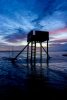 'Holy Island Crossing' by Brian Rogers