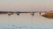 'Calm Waters, Amble' by Carol McKay