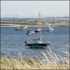 'Low Tide' by Carol McKay