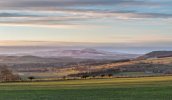 'Northumberland Winter' by Carol McKay