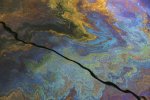 'Oil Slick' by Carol McKay