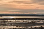 'Holy Island' by Carol McKay