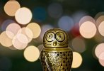 'Owl' by Chris Goddard