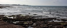 'View From Seahouses' by Christine Gray