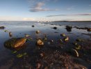 'Boulmer Haven' by Dave Dixon LRPS