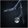 'Frozen Droplet' by Dave Dixon LRPS