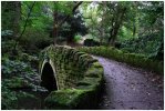 'Jesmond Dene Bridge' by Dave Dixon LRPS