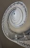 'Looking Up' by Dave Dixon LRPS