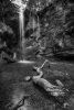 'Roughting Linn' by Dave Dixon LRPS