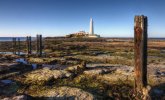 'St Mary's Island' by Dave Dixon LRPS