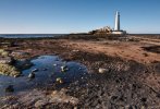 'St Mary's Island' by Dave Dixon LRPS