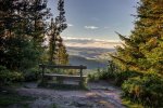 'Thrunton Wood Viewpoint' by Dave Dixon LRPS