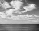 'Berwick Pier From Spittal' by Dave Dixon LRPS