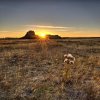 'Lindisfarne Sundet' by Dave Dixon LRPS