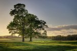 'View From Whittingham Churchyard' by Dave Dixon LRPS