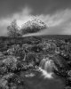 'Morning Mist' by David Burn LRPS