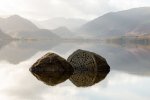 'Centenary Stones' by David Burn LRPS