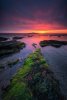 'Coquet Island Dawn' by David Burn LRPS