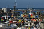 'Boats In Harbour' by David Lewis