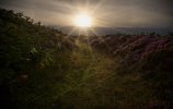 'Sunset At Simonside' by David Lewis