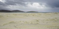 'Luskentyre Horse (2)' by Dawn Robertson