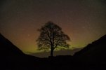 'Aurora, Sycamore Gap' by Dawn Robertson