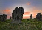 'Duddo Stone Circle' by Dawn Robertson