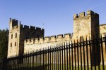 'Castle Railings' by Doug Ross