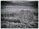 'Haybale' by Doug Ross