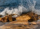 'Wave Washed Rocks At Spittal' by George Nasmyth