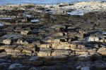 'Dunstanburgh Rocks' by Gerry Simpson ADPS LRPS