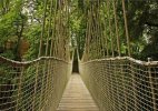 'Ropebridge In Treehouse' by Gerry Simpson ADPS LRPS