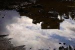 'Tractor Puddle (2)' by Gerry Simpson ADPS LRPS